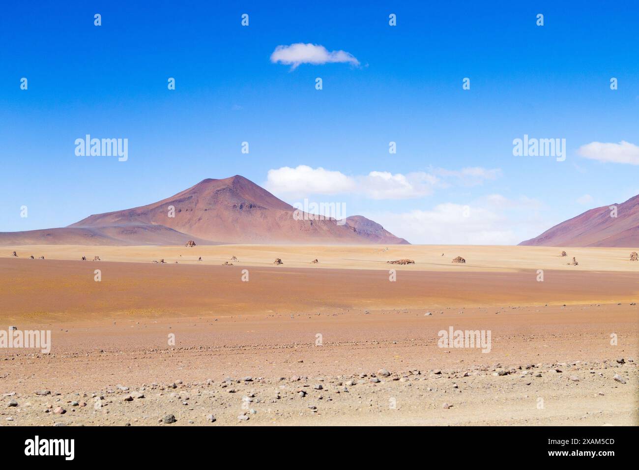 Bolivianischen Landschaft, Salvador Dali Desert View. Schöne Bolivien Stockfoto