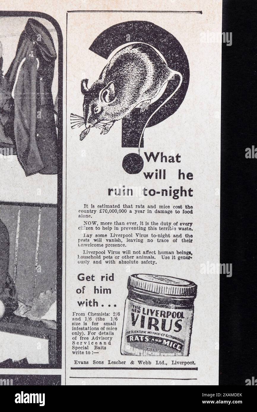 Werbung für Liverpool Virus Posion (für Ratten und Mäuse) in der Daily Mail (Replik) 18. September 1939, zu Beginn des Zweiten Weltkriegs. Stockfoto