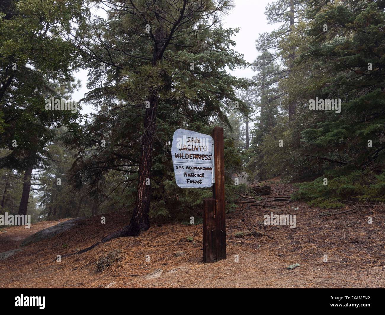 4. Mai 2024, Idyllwild, Kalifornien, USA: Eintrittsschild für den South Ridge Trail in die San Jacinto Wilderness, der zum 8,843 m hohen Tahquitz Peak in den San Jacinto Mountains führt. „Mile-High Idyllwild“ ist ein Bergresort mit einer Höhe von 1600 m neben dem Pacific Crest Trail und wird von zwei großen Felsformationen flankiert, dem Tahquitz Peak und Suicide Rock (auch bekannt als Lily Rock), die in südkalifornischen Klettern berühmt sind. Auch bekannt als „The Hill“, wurde es im Laufe der Jahre nur minimal entwickelt und ist nach wie vor ein Zentrum für Wandern, Berg- und Felsklettern, Mountainbiken und Stockfoto