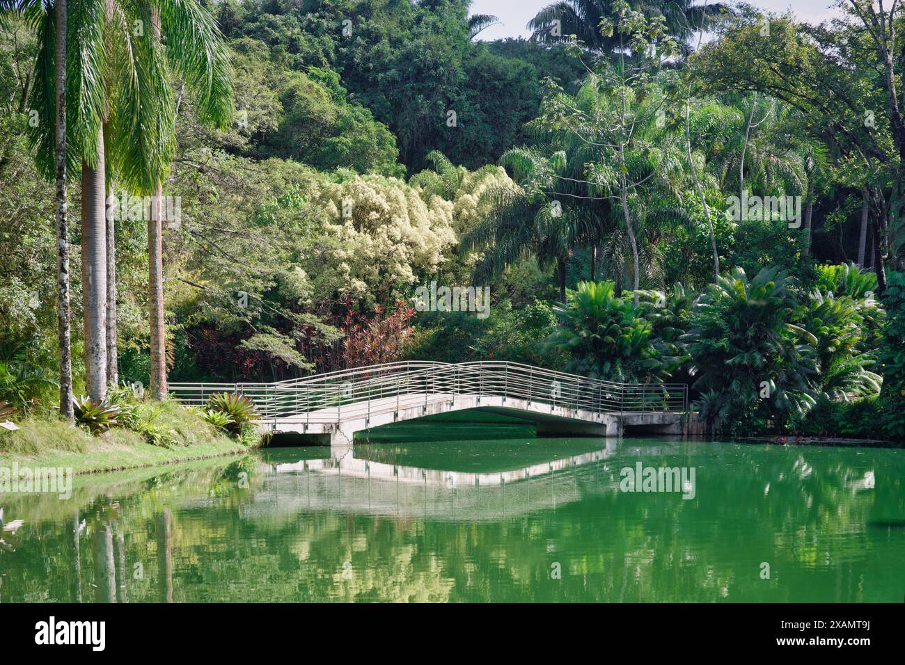 Foto des Instituts Inhotim, Brumadinho, Minas Gerais, Brasilien, Stockfoto