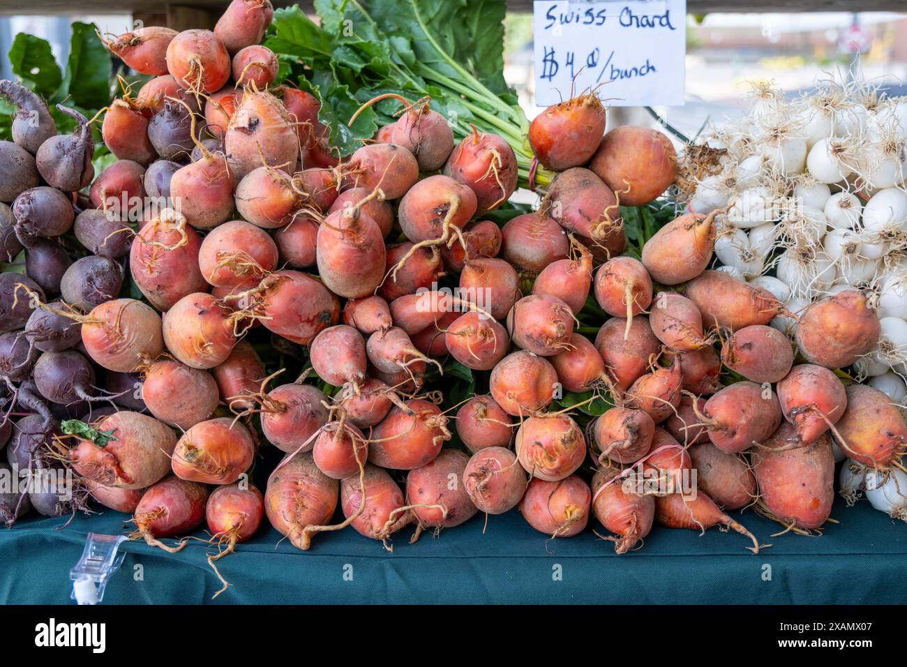 Frisches Rote-Beete-Gemüse-Paket Stockfoto