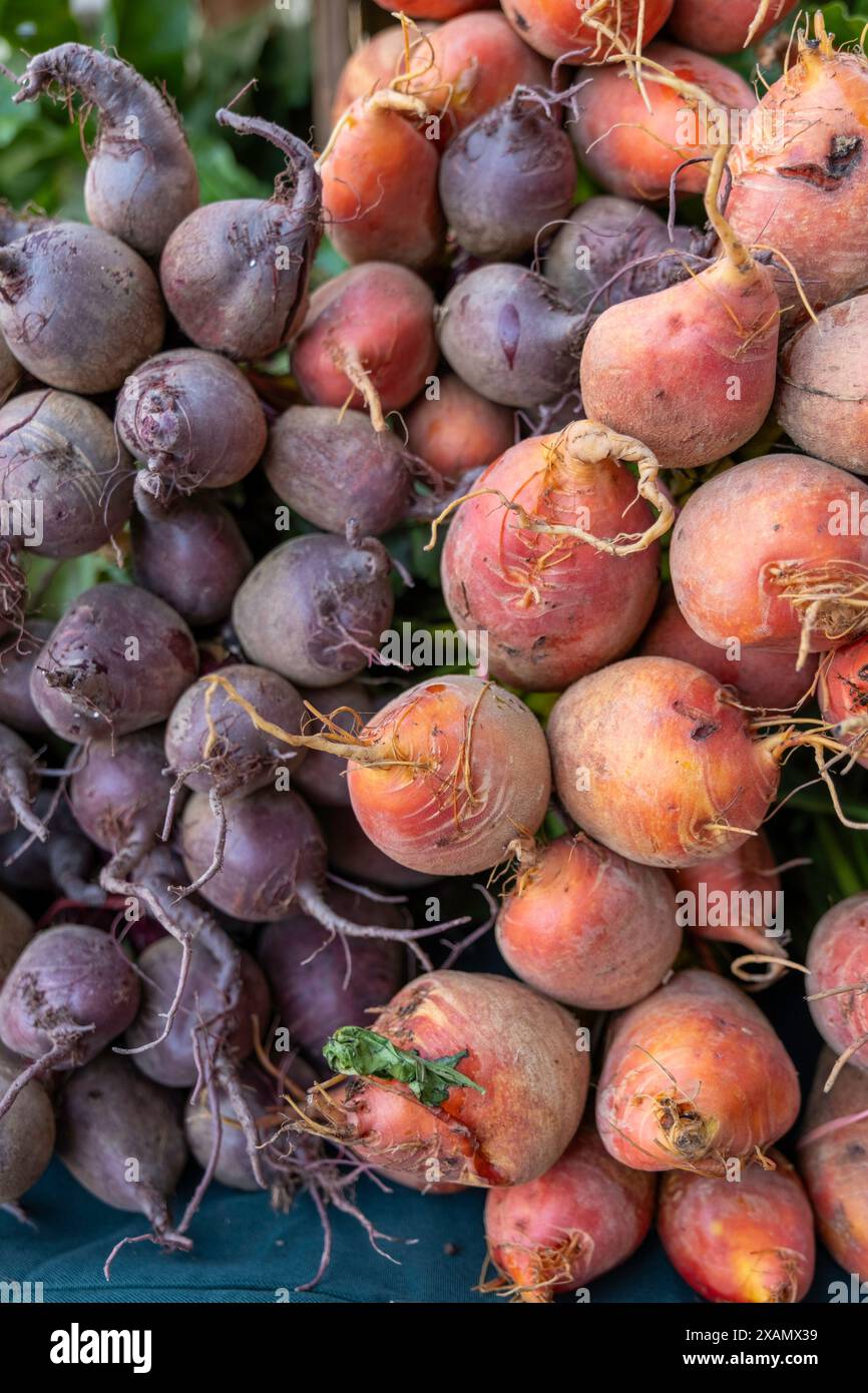 Eine bunte Mischung: Hochwertiges Rote-Beete-Gemüse Stockfoto