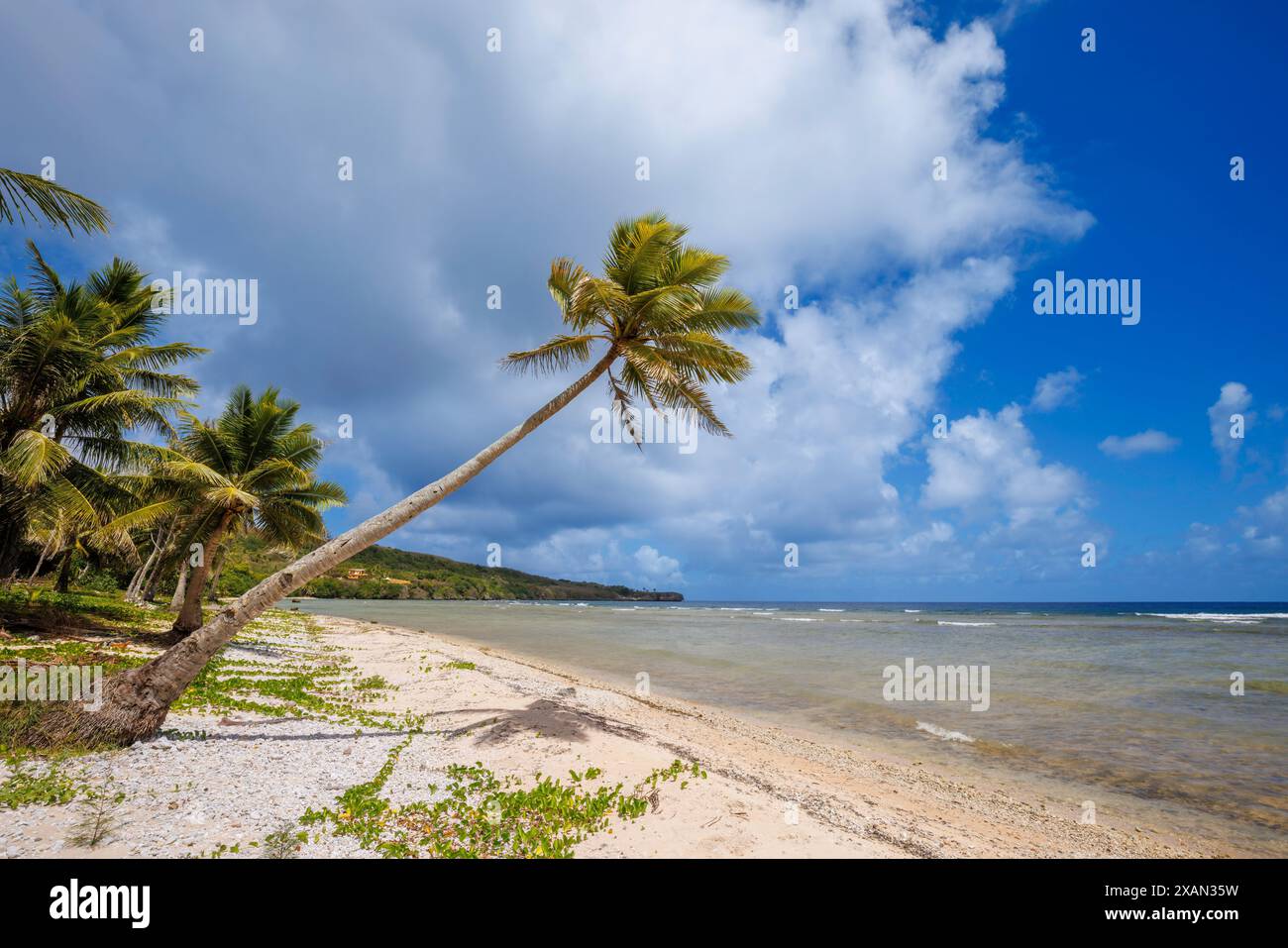 Lao Lao Bay ist ein Seegurken-Schutzgebiet, wo die Ernte verboten ist, Saipan, Nördliche Marianen. Stockfoto