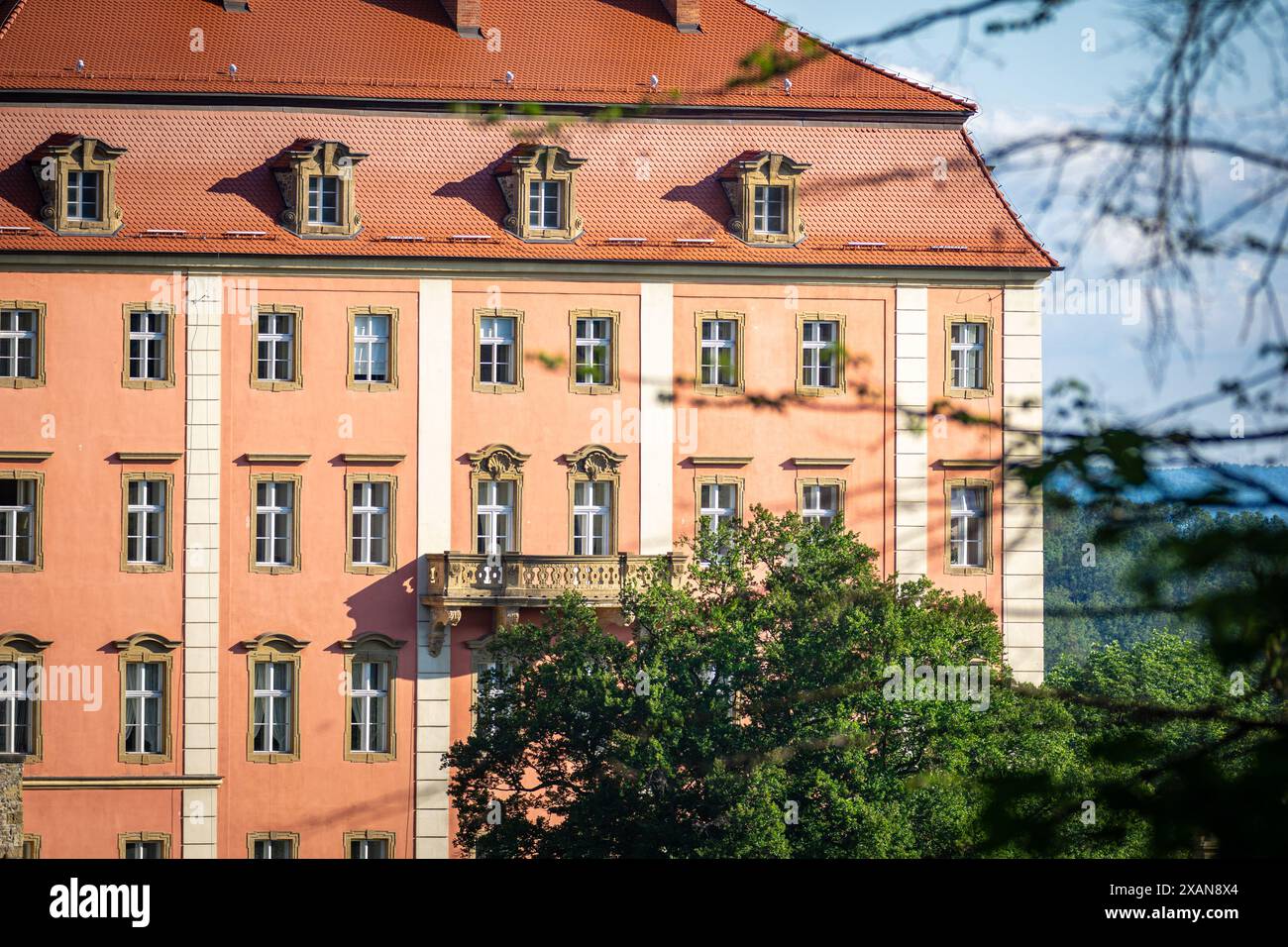 Wałbrzych, polen - 6. Juni 2024: Details der Burg Ksiaz eingebettet in einen üppigen Wald. Die Burg Ksiaz ist eine Burg in Walbrzych, Polen. Stockfoto