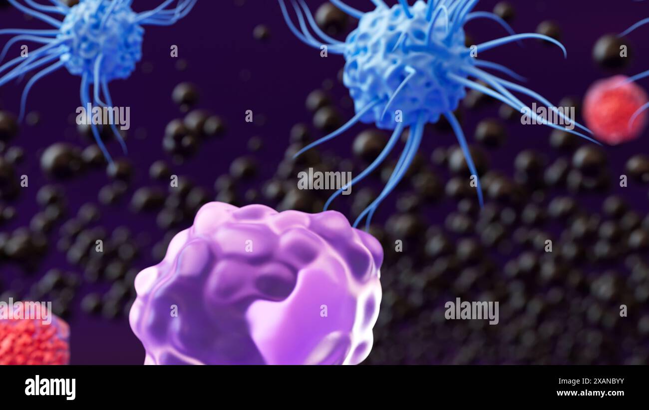 Abbildung von drei Arten weißer Blutkörperchen: Ein Makrophagen (violett), dendritische Zellen (blau) und t Helferzellen (rot). Makrophagen fungieren hauptsächlich dazu, Substanzen zu verschlingen und zu zerstören, die eine Immunantwort hervorrufen. Dieser Prozess wird als Phagozytose bezeichnet. Die primäre Funktion der dendritischen Zellen ist die Darstellung von Antigenen, also Molekülen, die das Immunsystem als fremd erkennt. T-Helferzellen sind daran beteiligt, andere Immunzellen chemisch zu signalisieren und die Immunantwort zu koordinieren. Stockfoto