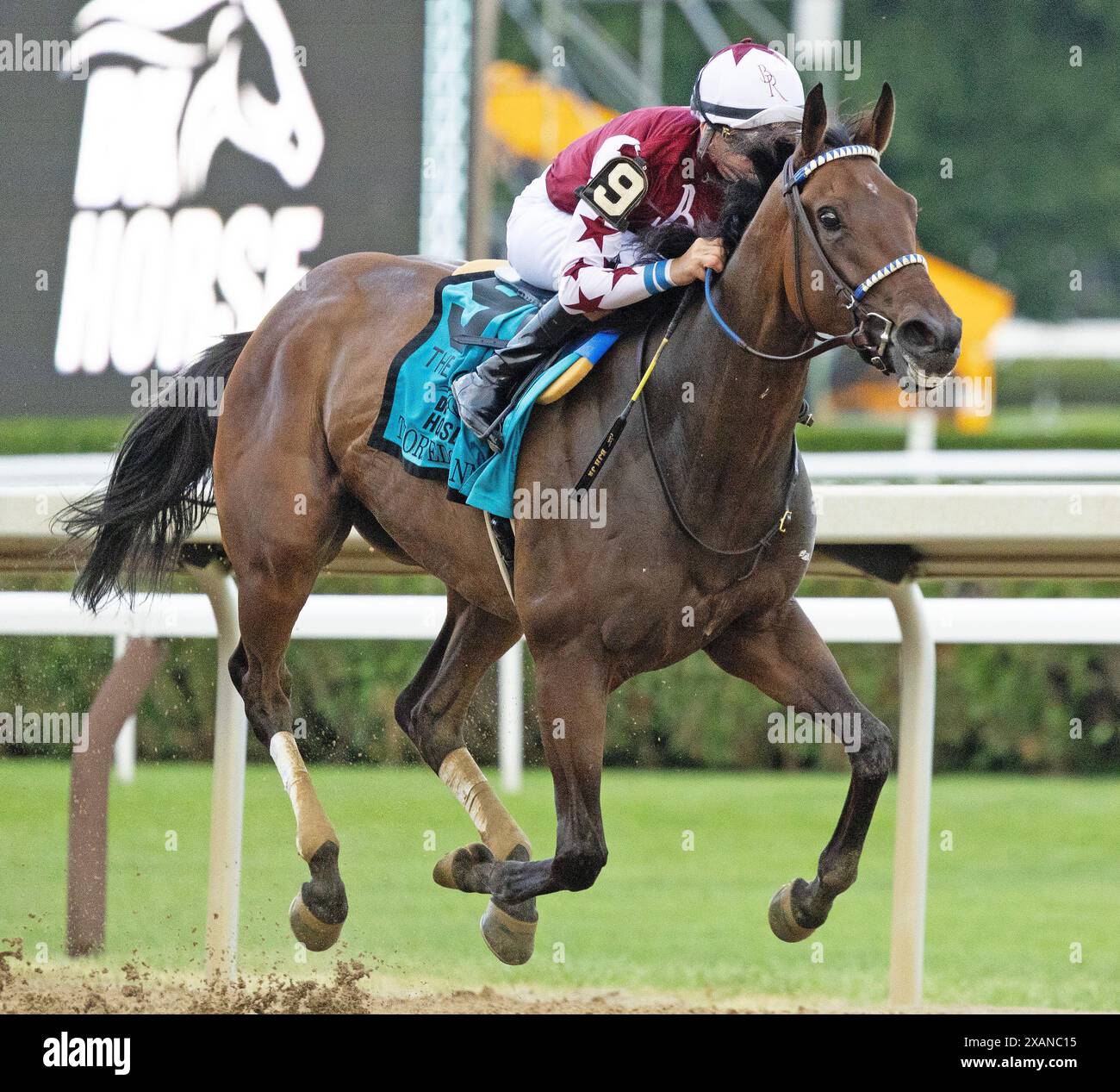 Saratoga Springs, Usa. Juni 2024. Thorpedo Anna, geritten von Brian Hernandez, gewinnt am Freitag, den 7. Juni 2024 in Saratoga Springs, NY, den Acorn Stakes. Foto: Mark Abraham/UPI Credit: UPI/Alamy Live News Stockfoto