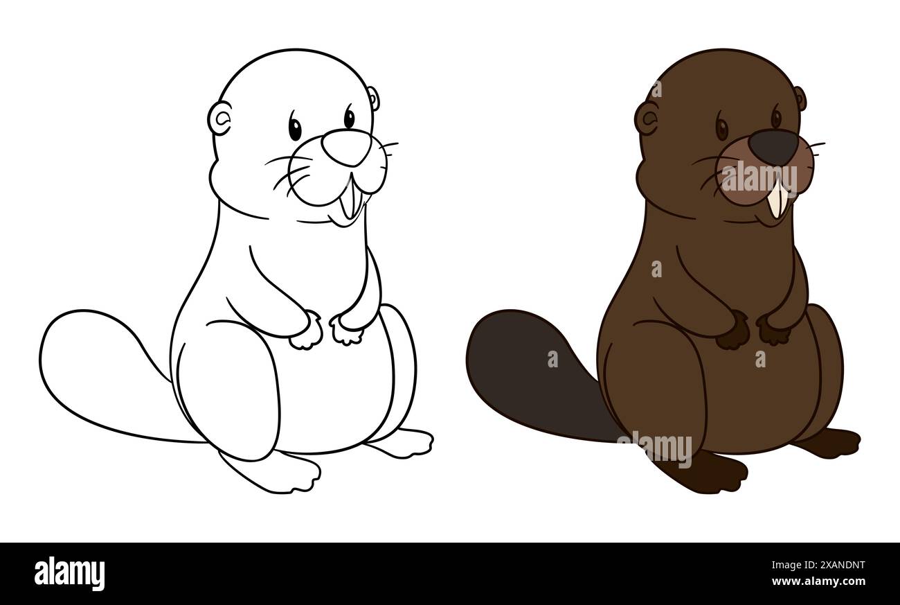 Set mit niedlichen Bibern in Kontur- und Farbversionen zum Färben. Stock Vektor