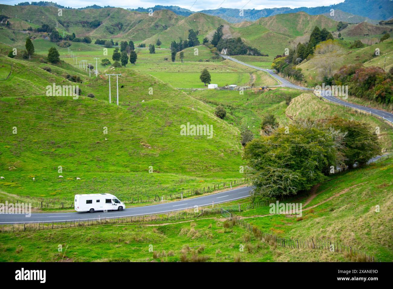 New Zealand State Highway 43 (Forgotten World Highway) Stockfoto