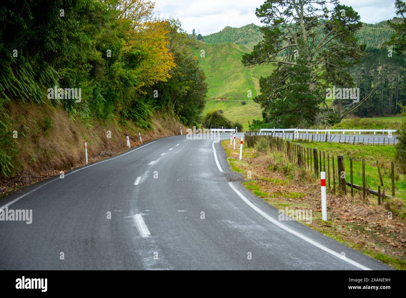 New Zealand State Highway 43 (Forgotten World Highway) Stockfoto