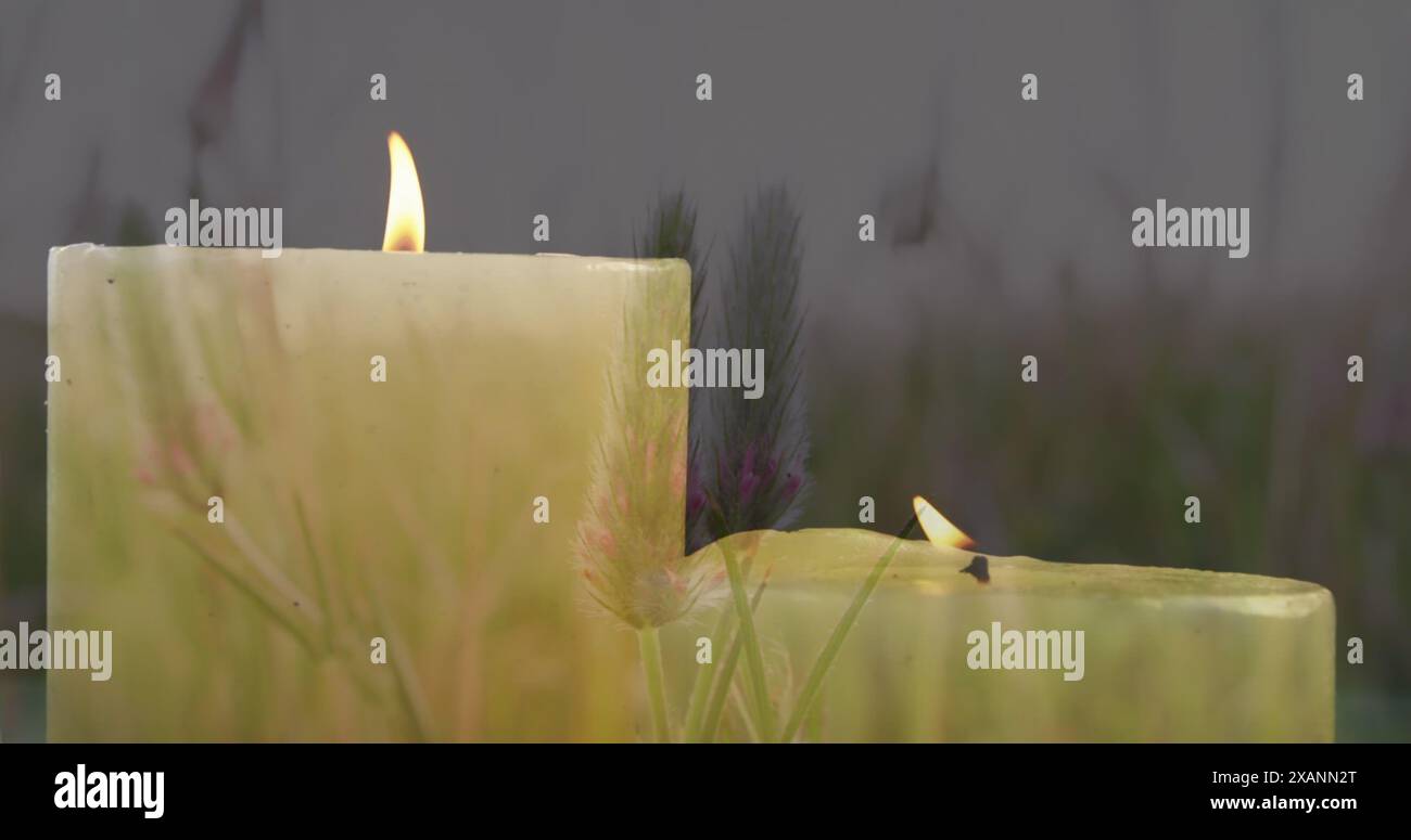 Bild von beleuchteten Kerzen über Wiese und Gras, Kopierraum Stockfoto