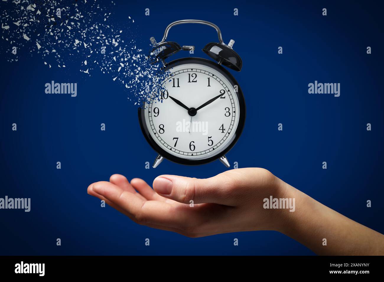Die Zeit wird knapp. Frau mit auflösendem Wecker auf blauem Hintergrund, Nahaufnahme Stockfoto