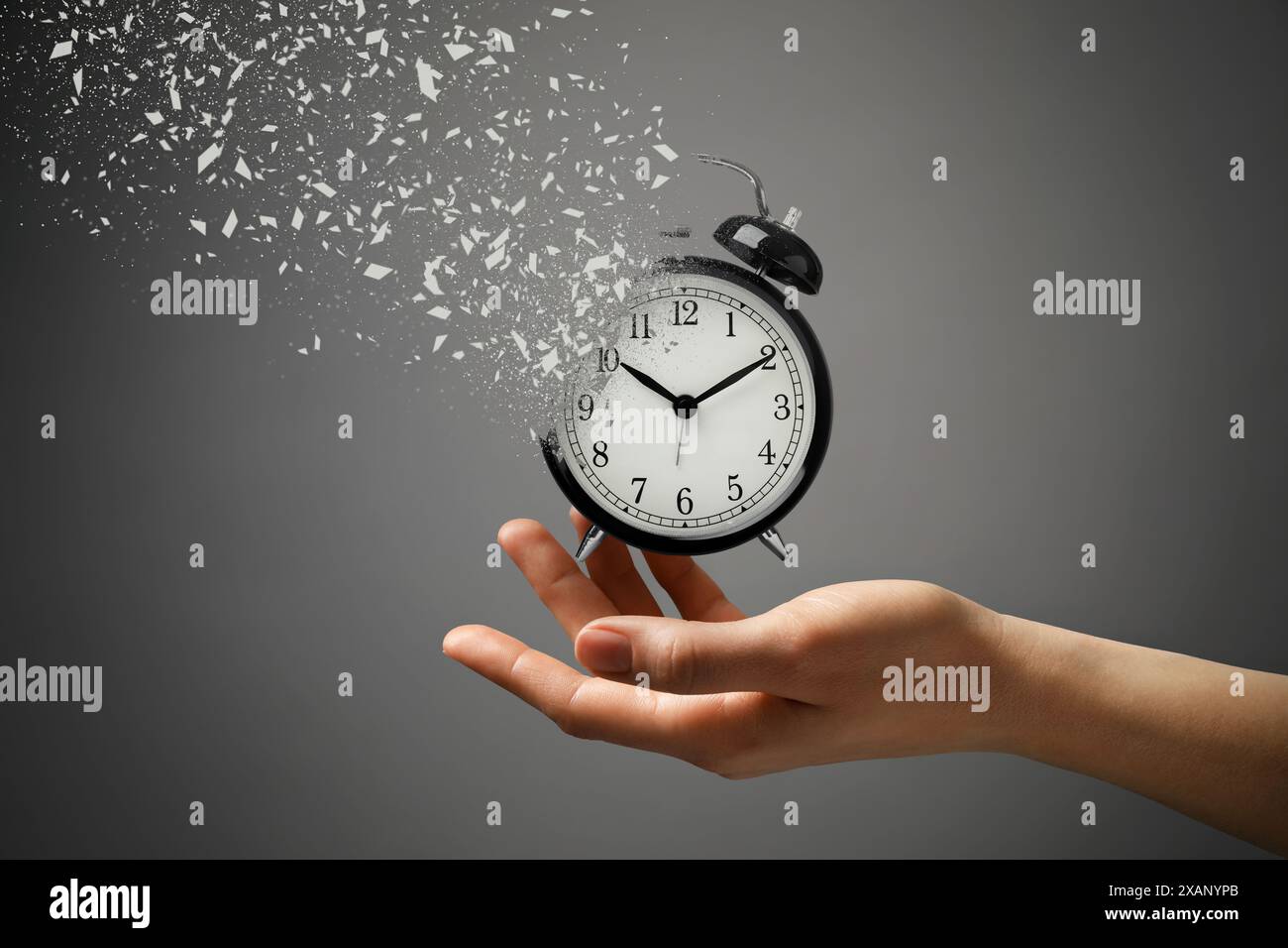 Die Zeit wird knapp. Frau mit auflösendem Wecker auf grauem Hintergrund, Nahaufnahme Stockfoto