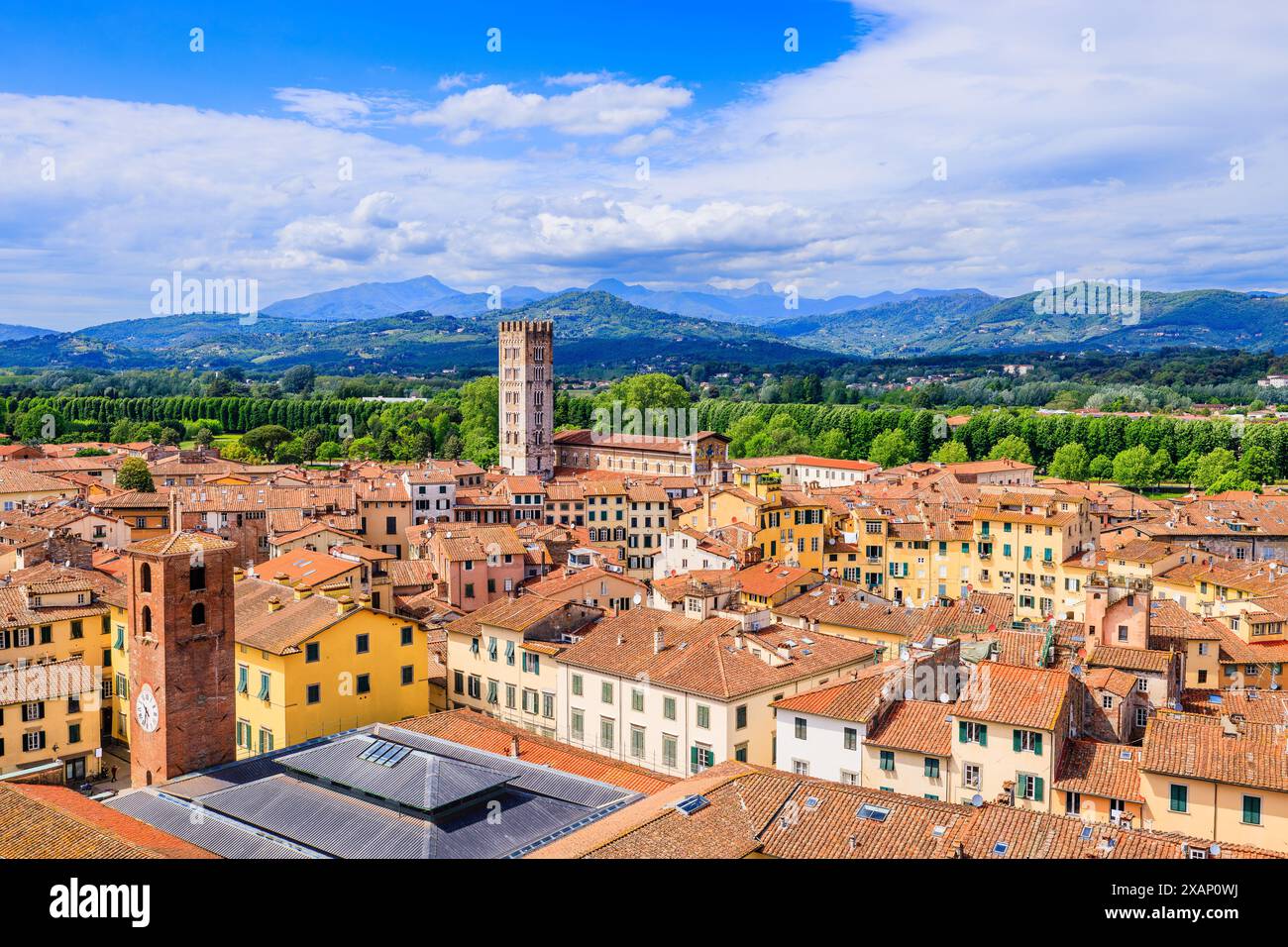 Lucca, Toskana, Italien. Aus der Vogelperspektive auf die Stadt vom Guinigi-Turm. Stockfoto