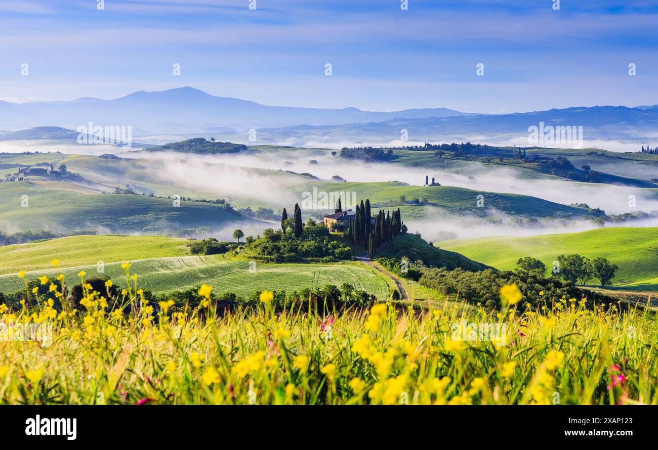 Toskana, Italien. Typische Landschaft des Val d'Orcia. Stockfoto