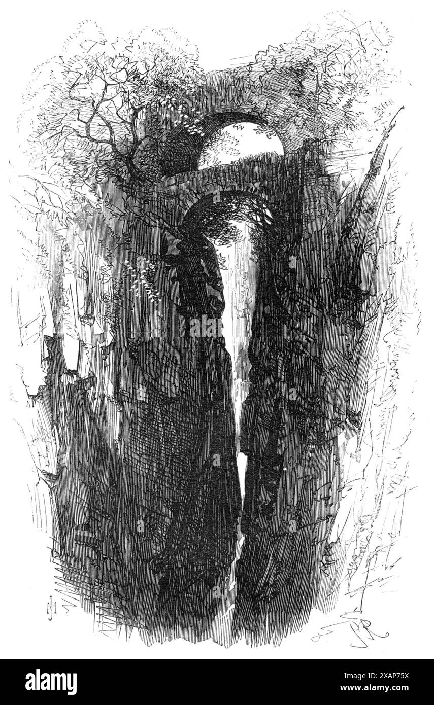 Die Devon Valley Railway in Schottland: The Grobbling Brig, 1869. "Der gesamte Verlauf des Flusses Devon ist interessant, aber zweifellos der romantischste und malerischste Teil sind die wenigen Meilen, die sich vom Black Linn in Glen Devon bis zur Vikar-Brücke erstrecken, zu der die St. Serf's Bridge, Kessel Linn, und Rumbling Brig... die Rumbling Brig ist über einer tiefen Schlucht gebaut, wo der ganze Körper des Flusses einen Weg mit einem hohlen, rumpelnden Geräusch durch eine Spalte nur wenige Meter breit, die von irgendeinem Krämpfen der Natur in die Felsen gerissen wurde. Die Ufer sind fein bewaldet und mit Farnen, Efeu und geschmückt Stockfoto