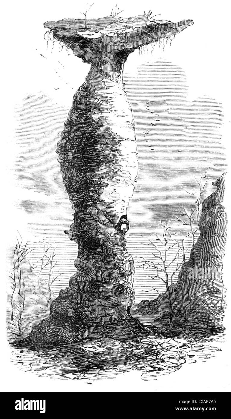 The Jug Rock, im Süden von Indiana, 1869. Der Jug Rock liegt in einer Schlucht in einem Wald, nicht weit von der östlichen Fork des White River, im Süden von Indiana. Es steht völlig allein und ist etwa 70 Meter groß. In der Höhe, eine feste Säule aus Freistein, 50 Fuß. Im Umfang von 4 Fuß Von der Basis aus und mindestens 65 Fuß. In der Mitte. Der kleine Baum auf der Spitze ist ein Sarvice-Beerenbaum, der im Sommer reich mit hängenden weißen Blüten bedeckt ist. Die Frucht hat den feinsten Geschmack. Wilde Sträucher säumen den Rand, und Reben sind überall davon abhängig. Die Basis des Felsens für Stockfoto