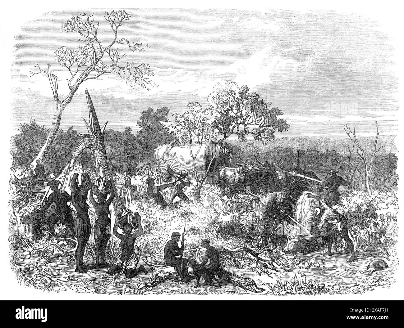 Reisen in Afrika: Eine Straße für die Waggons schneiden, 1868. Gravur einer Skizze von Mr. Thomas Baines, die seine persönlichen Erfahrungen in Begleitung von James Chapman veranschaulicht, als er 1861 und 1862 über den afrikanischen Kontinent reiste, von der Walvisch Bay an der Westküste zu den Victoria Falls des Sambesi und von dort zum Logier Hill. Hier hatten sie beabsichtigt, in einem Boot auf dem Fluss zu steigen und seinen Kurs an die Ostküste Afrikas zu versenken, waren aber von unvorhergesehenen Schwierigkeiten überrascht und gezwungen, in die Kapkolonie zurückzukehren. Die Art und Weise, mit ihrem Gepäck zu reisen Stockfoto Reisen in Afrika: Eine Straße für die Waggons schneiden, 1868. Gravur einer Skizze von Mr. Thomas Baines, die seine persönlichen Erfahrungen in Begleitung von James Chapman veranschaulicht, als er 1861 und 1862 über den afrikanischen Kontinent reiste, von der Walvisch Bay an der Westküste zu den Victoria Falls des Sambesi und von dort zum Logier Hill. Hier hatten sie beabsichtigt, in einem Boot auf dem Fluss zu steigen und seinen Kurs an die Ostküste Afrikas zu versenken, waren aber von unvorhergesehenen Schwierigkeiten überrascht und gezwungen, in die Kapkolonie zurückzukehren. Die Art und Weise, mit ihrem Gepäck zu reisen Stockfoto