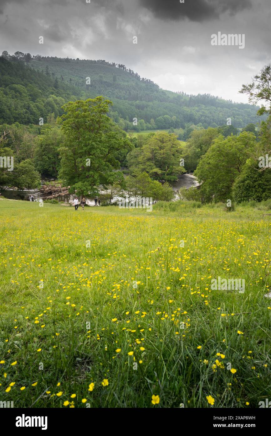 Die von Thomas Telford entworfenen Hufeisenmauern dienen der Wasserversorgung des Llangollenkanals bei Llangollen in Nordwales. Stockfoto