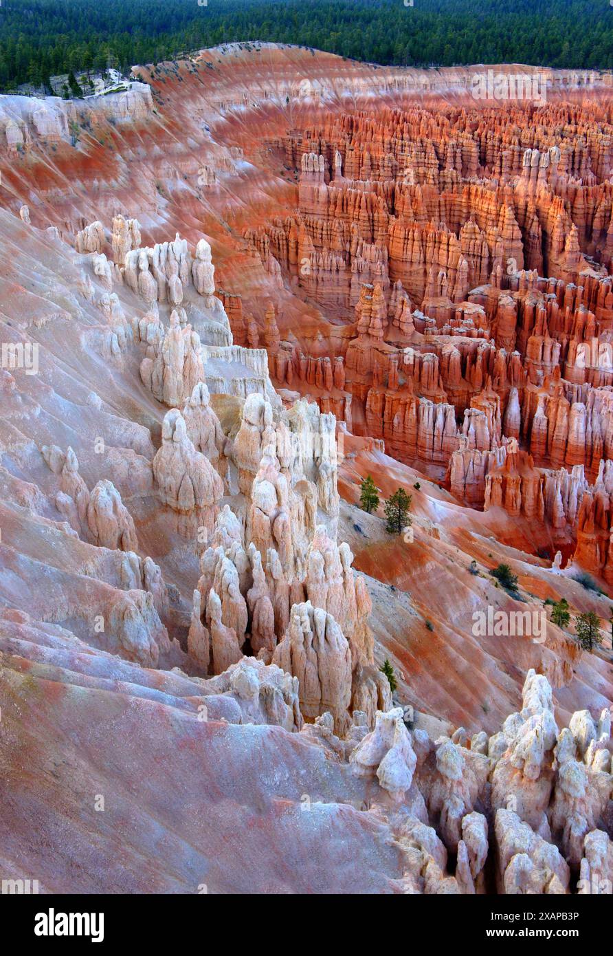 Der Bryce Canyon ist eine fantastische Felsenlandschaft. Stockfoto