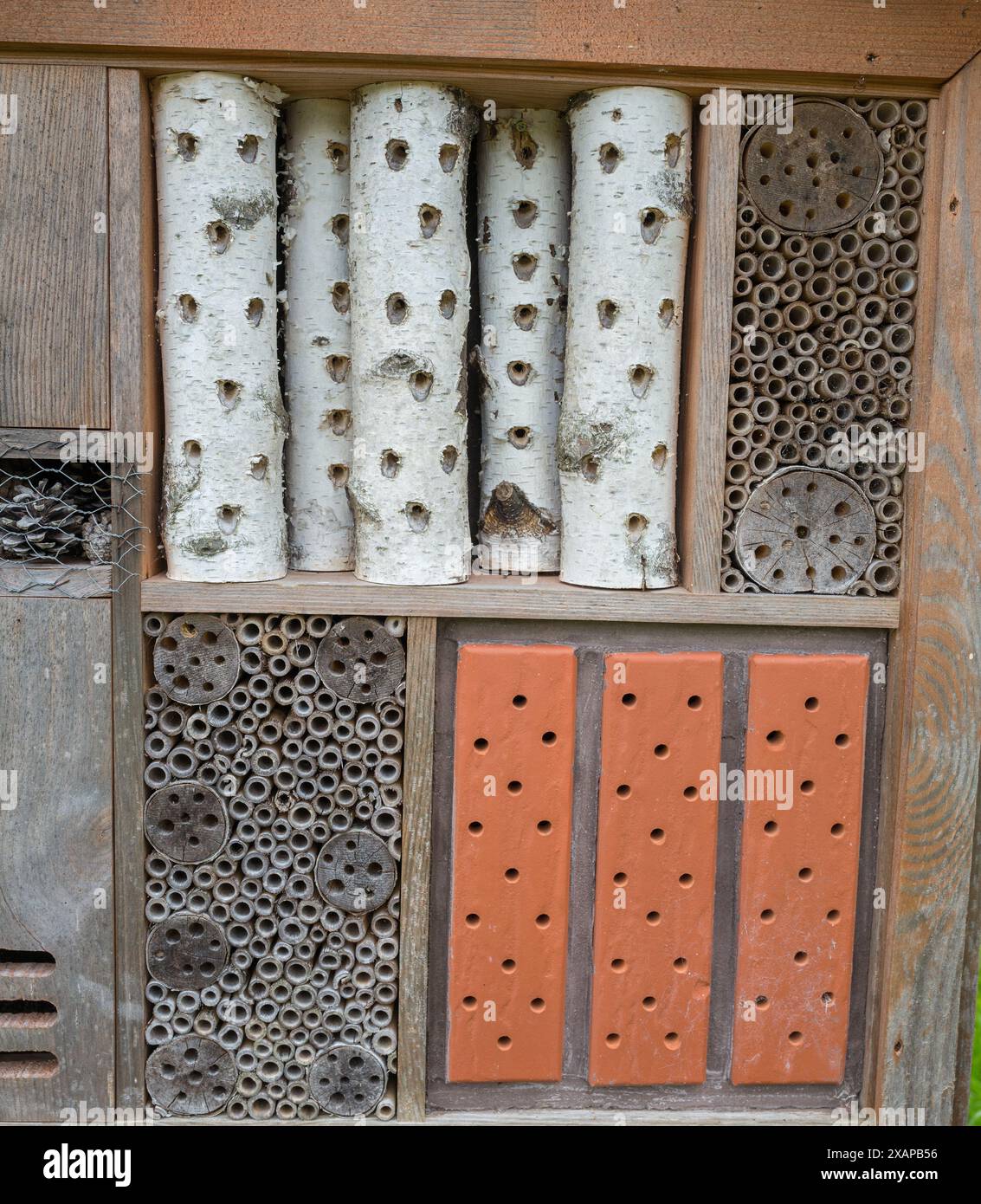 Ein Bienenhotel aus Bambus, Ziegeln und silbernen Birkenstämmen. Stockfoto