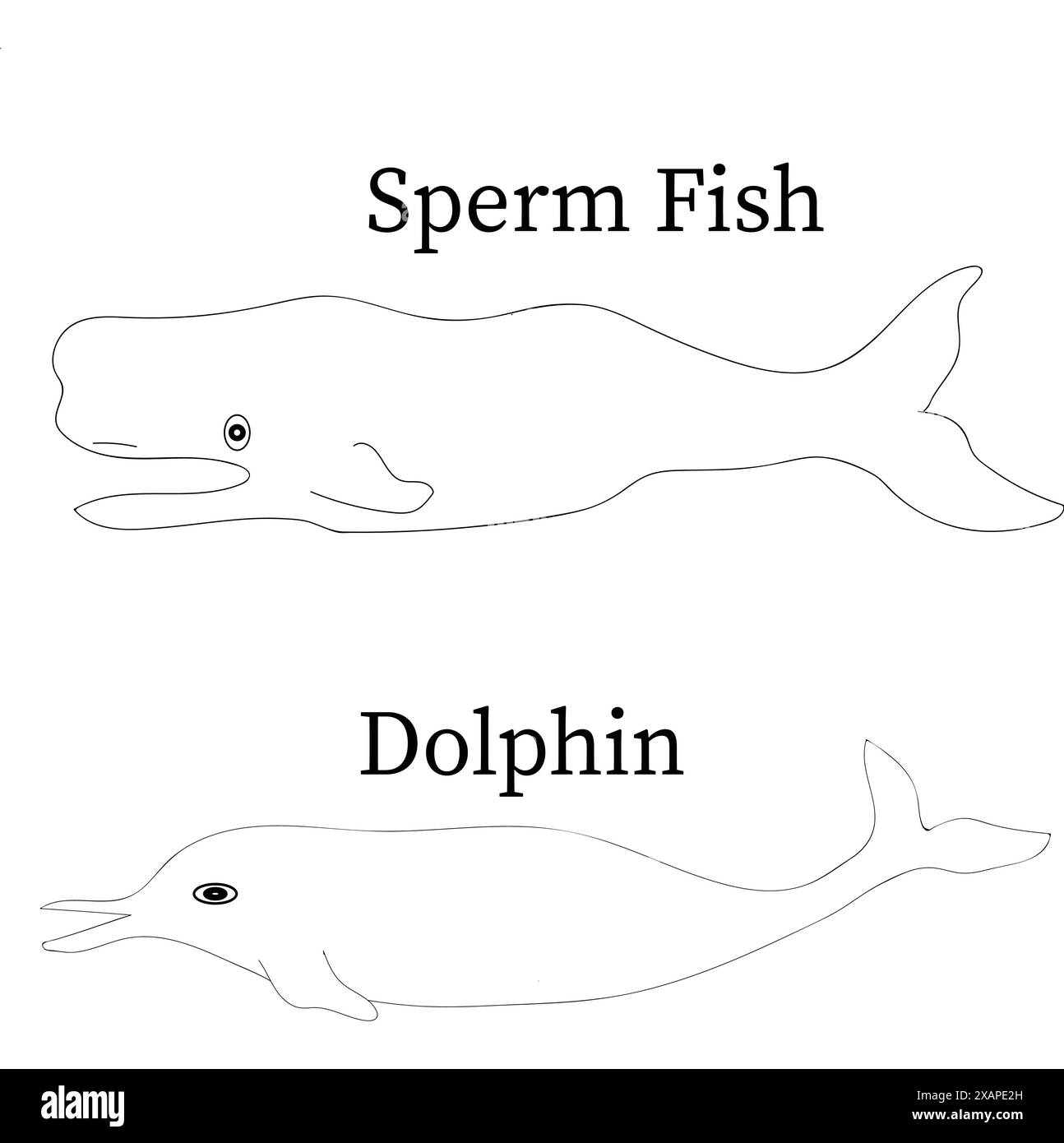 Spermienfische und Delfinfische Linie Kunstillustration auf weißem Hintergrund Stock Vektor