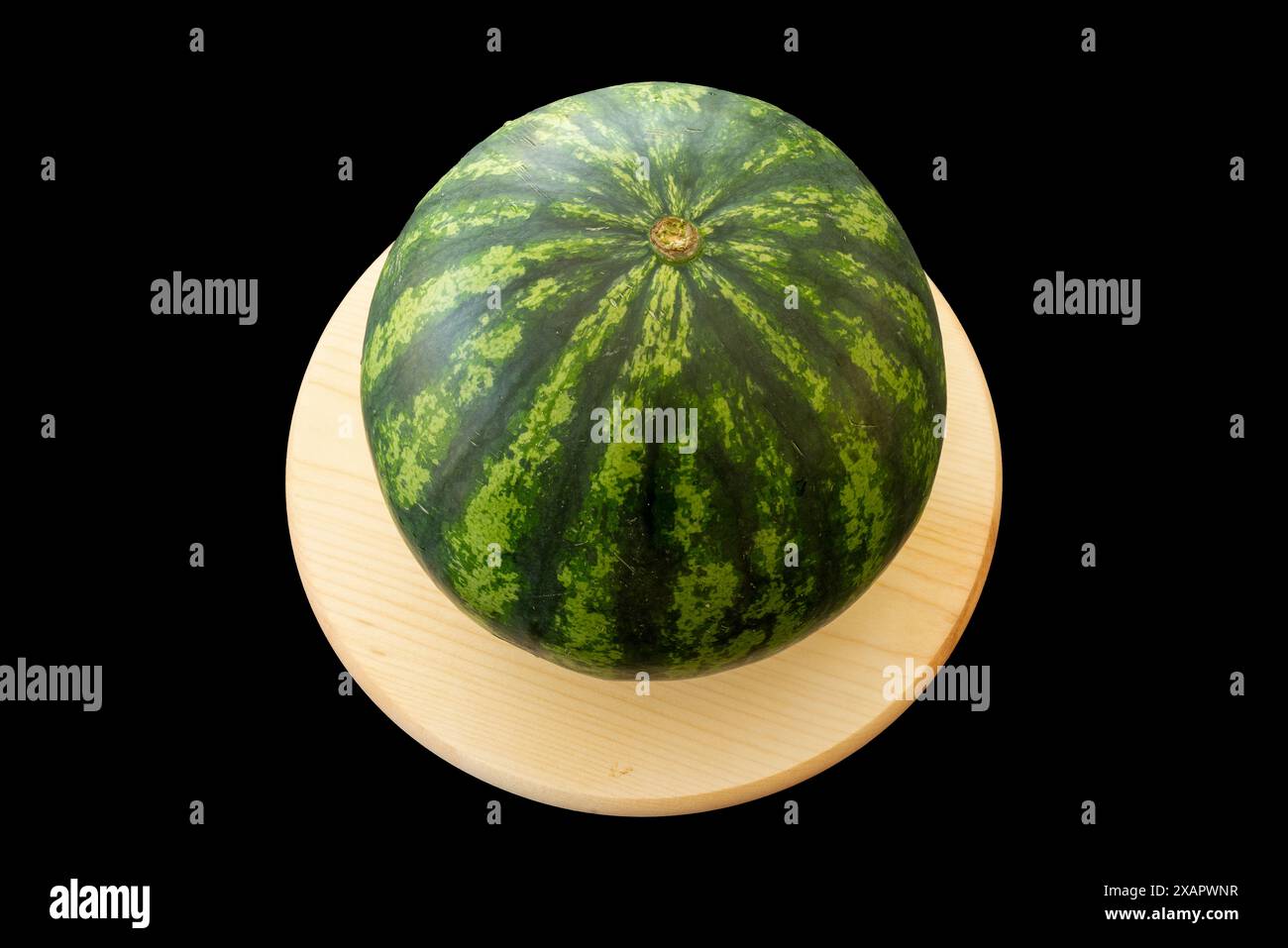 Eine ganze Wassermelone auf einem hellen runden Holzbrett auf schwarzem Hintergrund. Stockfoto