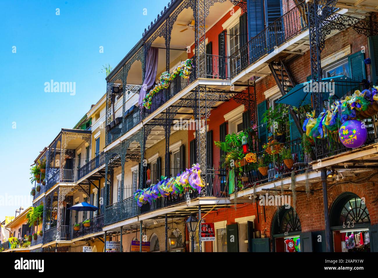 French Quarter, New Orleans, Louisiana State, USA. New Orleans Stadthäuser (ältere Gebäude) haben oft Galerien aus Gusseisen mit verzierten Büsten Stockfoto