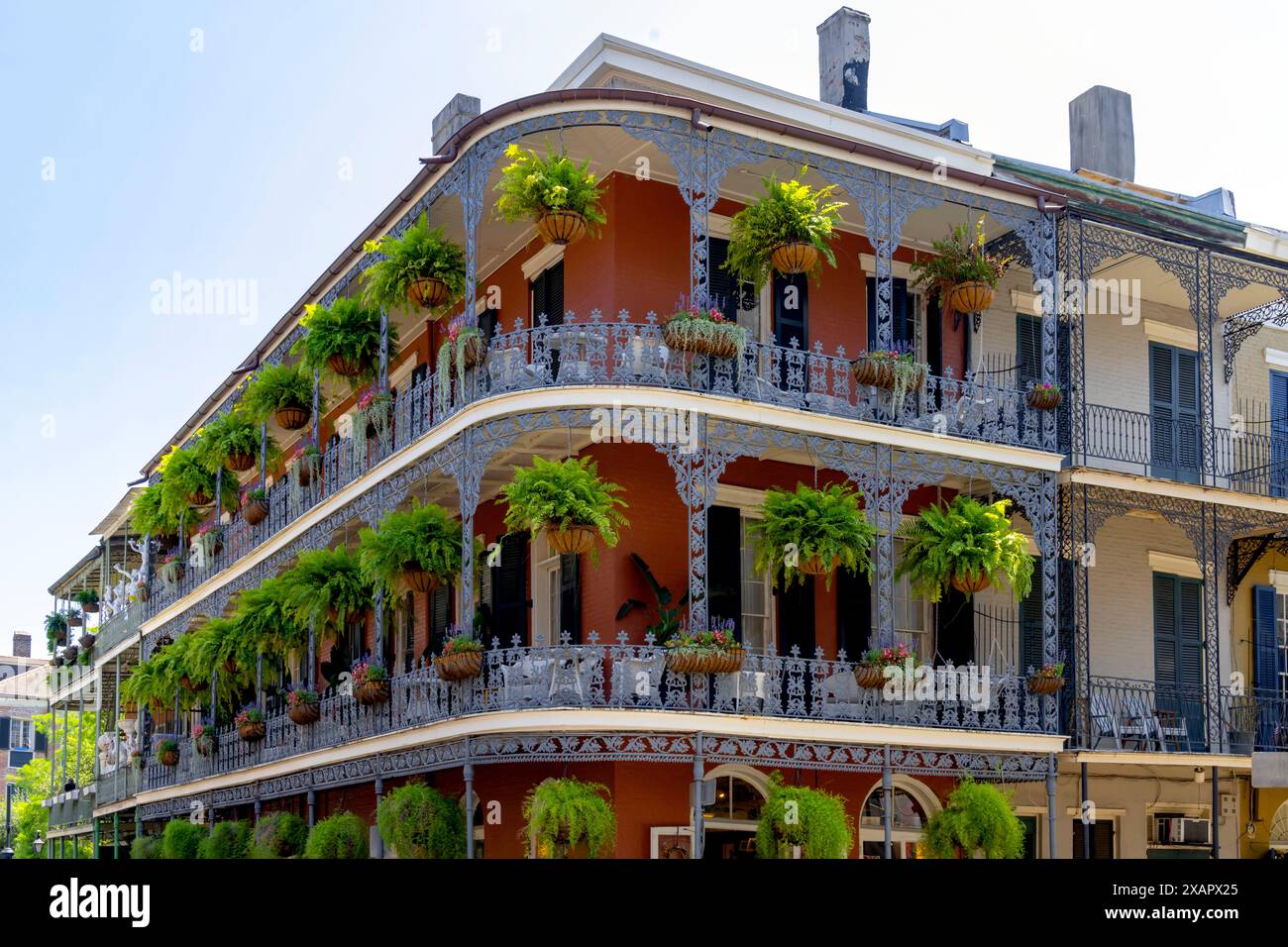 French Quarter, New Orleans, Louisiana State, USA. New Orleans Stadthäuser (ältere Gebäude) haben oft Galerien aus Gusseisen mit verzierten Büsten Stockfoto