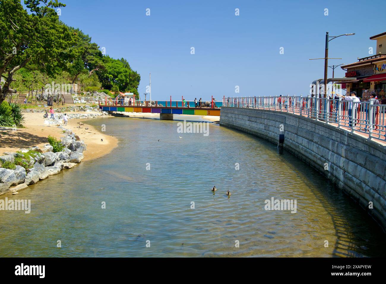 Donghae City, Südkorea - 18. Mai 2024: Ein ruhiger Fluss fließt in Richtung Chuam Beach, mit einer bunten Brücke und einer malerischen Umgebung, die eine se bietet Stockfoto