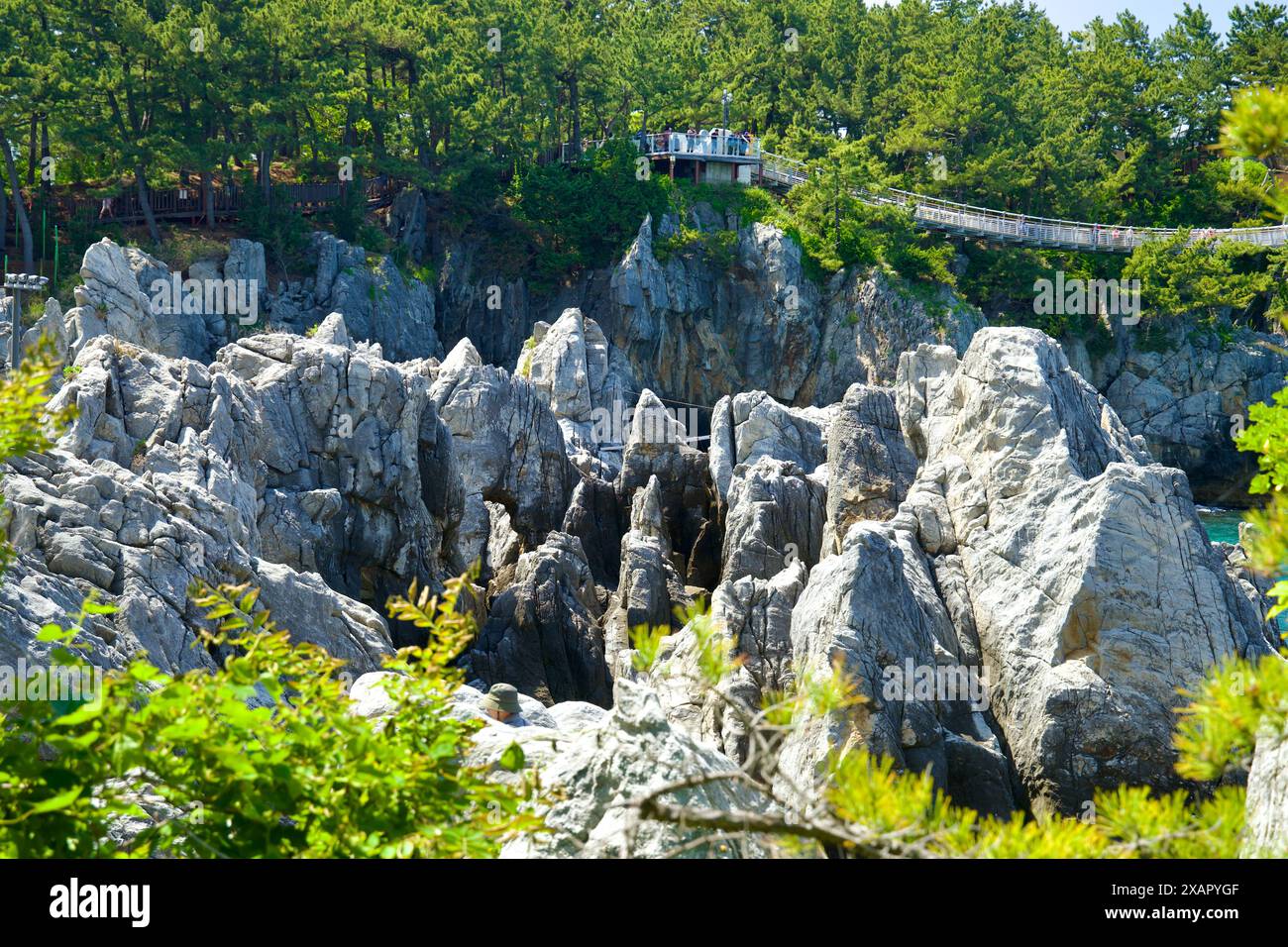 Donghae City, Südkorea - 18. Mai 2024: Die einzigartigen Kalksteinformationen des koreanischen Steinwaldes mit der Chuam Hängebrücke im Hintergrund Stockfoto
