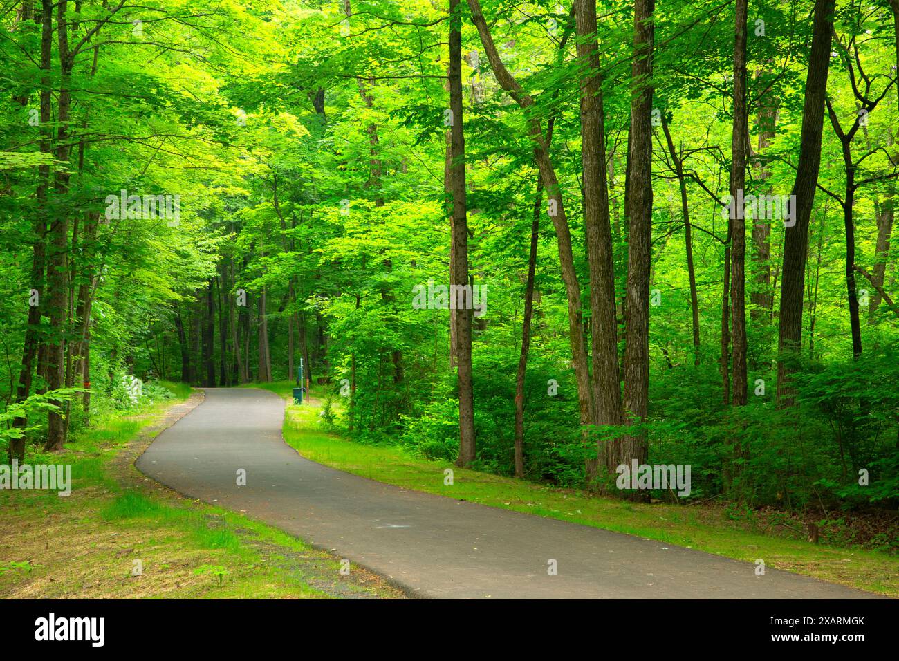 Stanley Loop Trail, Stanley Quarter Park, New Britain, Connecticut Stockfoto