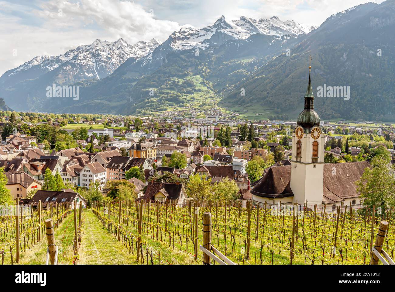 Blick auf die Weinberge von Altdorf am Vierwaldstättersee in der Zentralschweiz Stockfoto