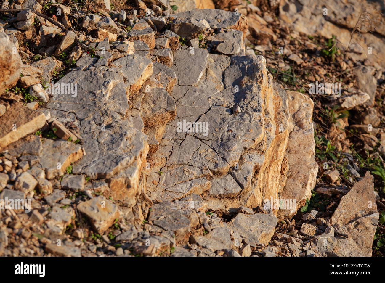 Rote Felsen in verschiedenen Formen und Größen auf dem Boden. Orangefarbene Textur. Hintergrund. Für Text. Für Banner. Horizontal Stockfoto