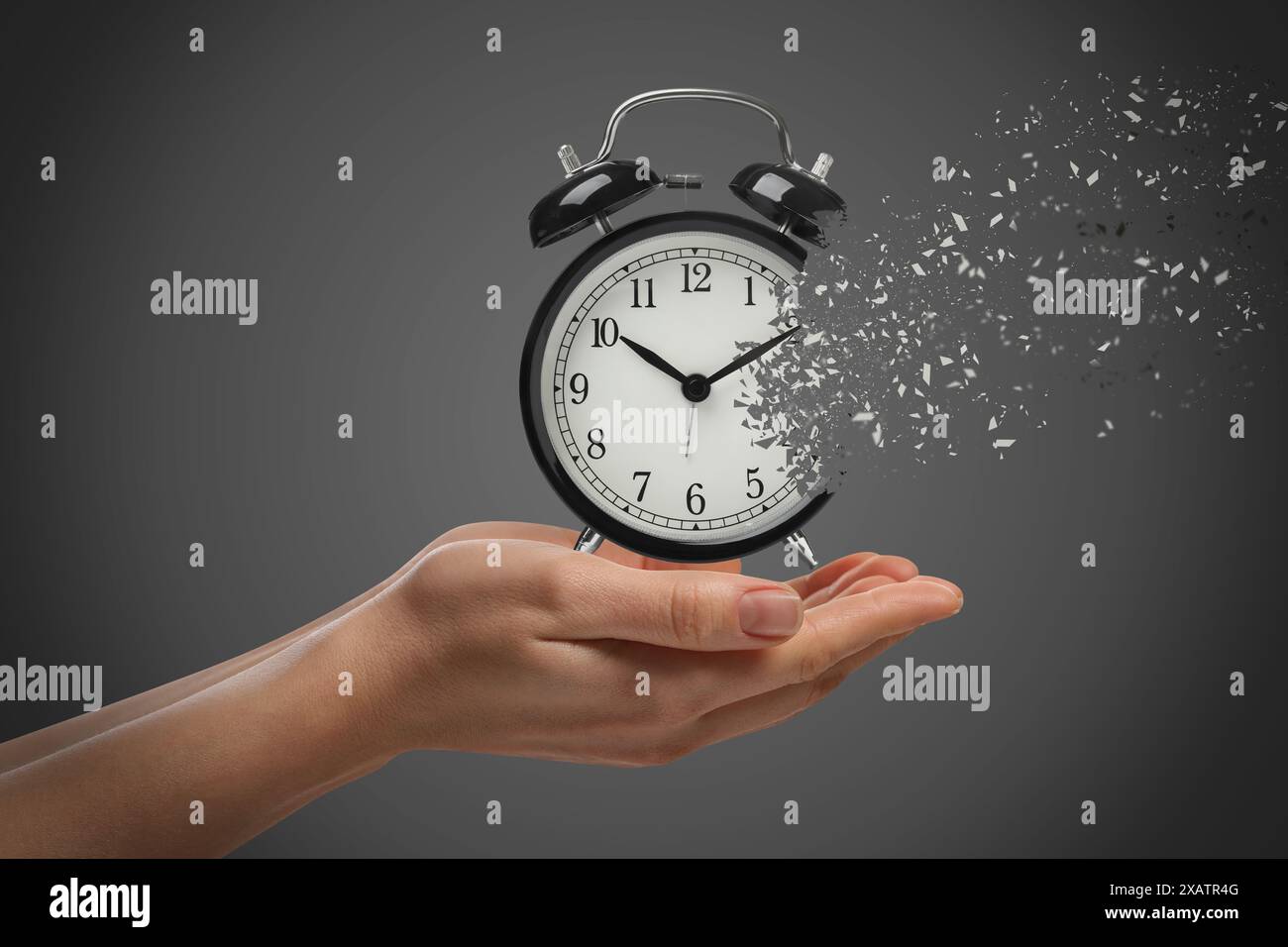 Die Zeit wird knapp. Frau mit auflösendem Wecker auf grauem Hintergrund, Nahaufnahme Stockfoto
