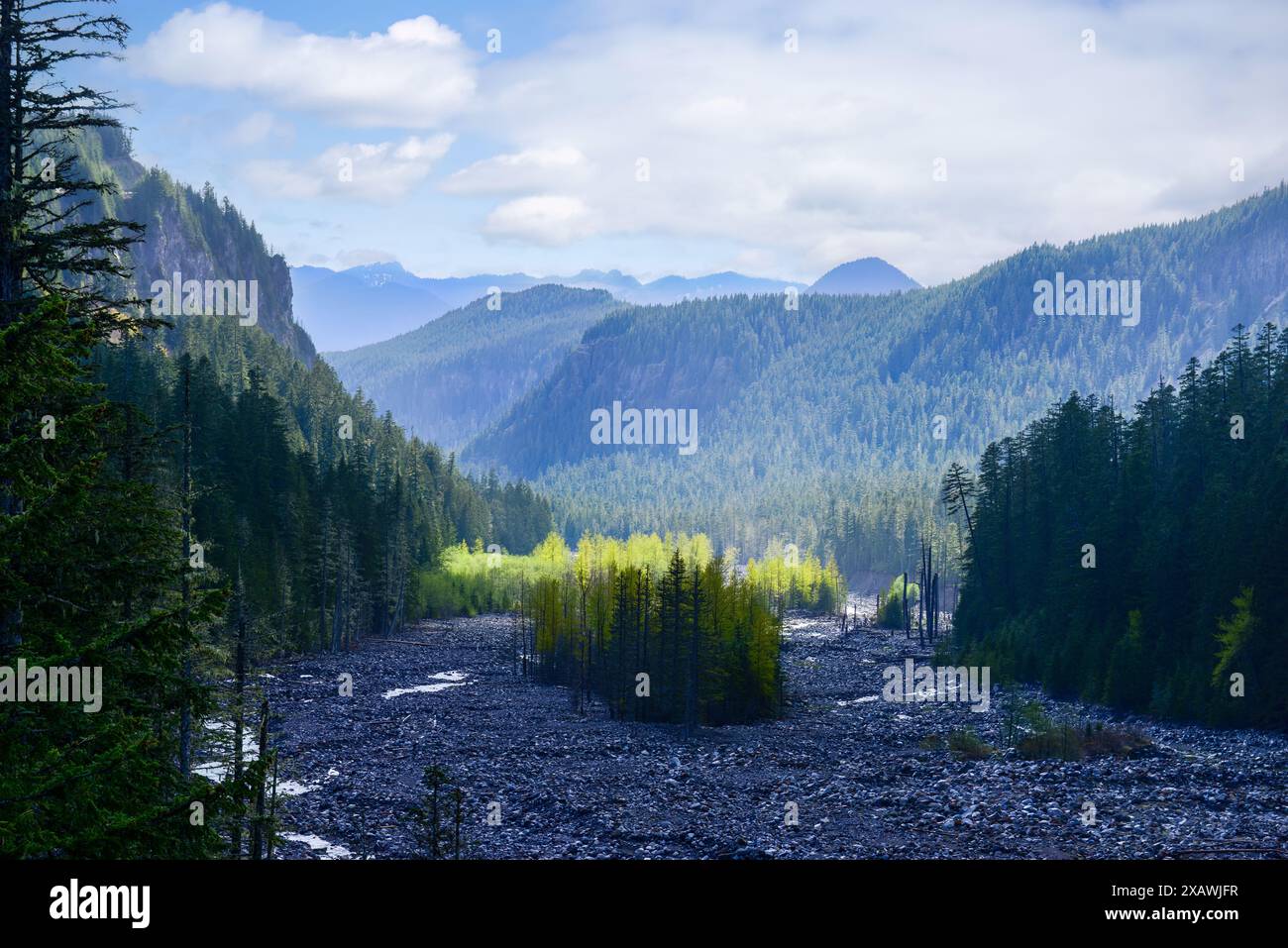 Nisqually River im Frühjahr, Mt. Rainier National Park. Washington. Stockfoto