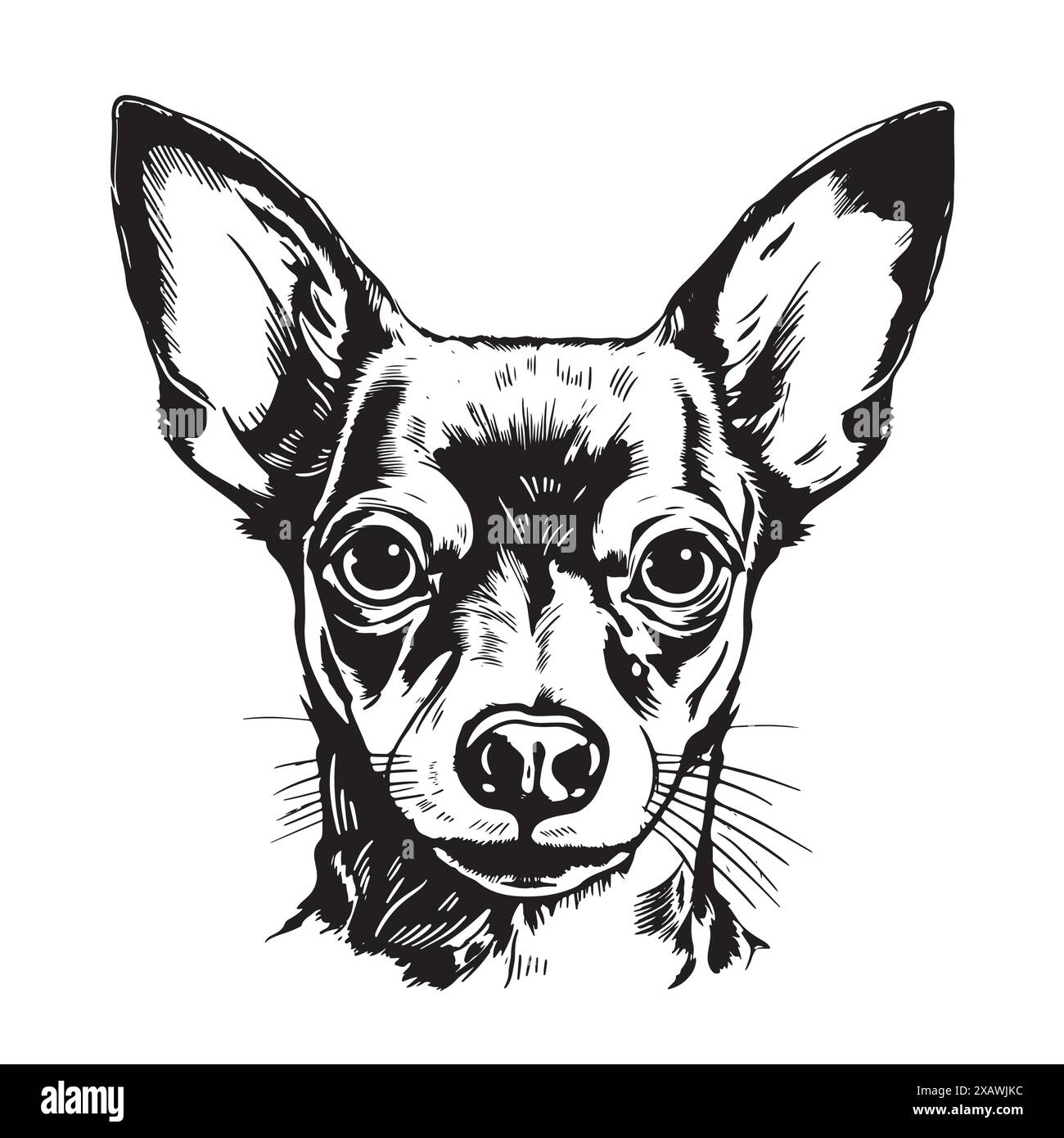 Nettes Spielzeug Terrier Hund Porträt Hand gezeichnet Skizze Haustiere Vektor Illustration Stock Vektor