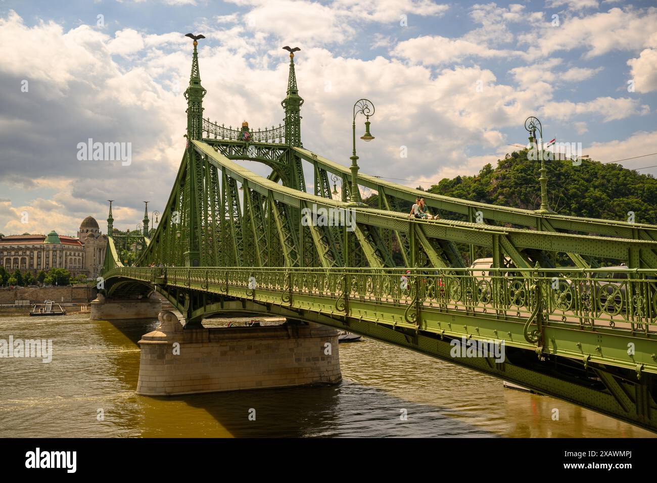 Die Freiheitsbrücke an einem sonnigen Tag, Budapest, Ungarn Stockfoto