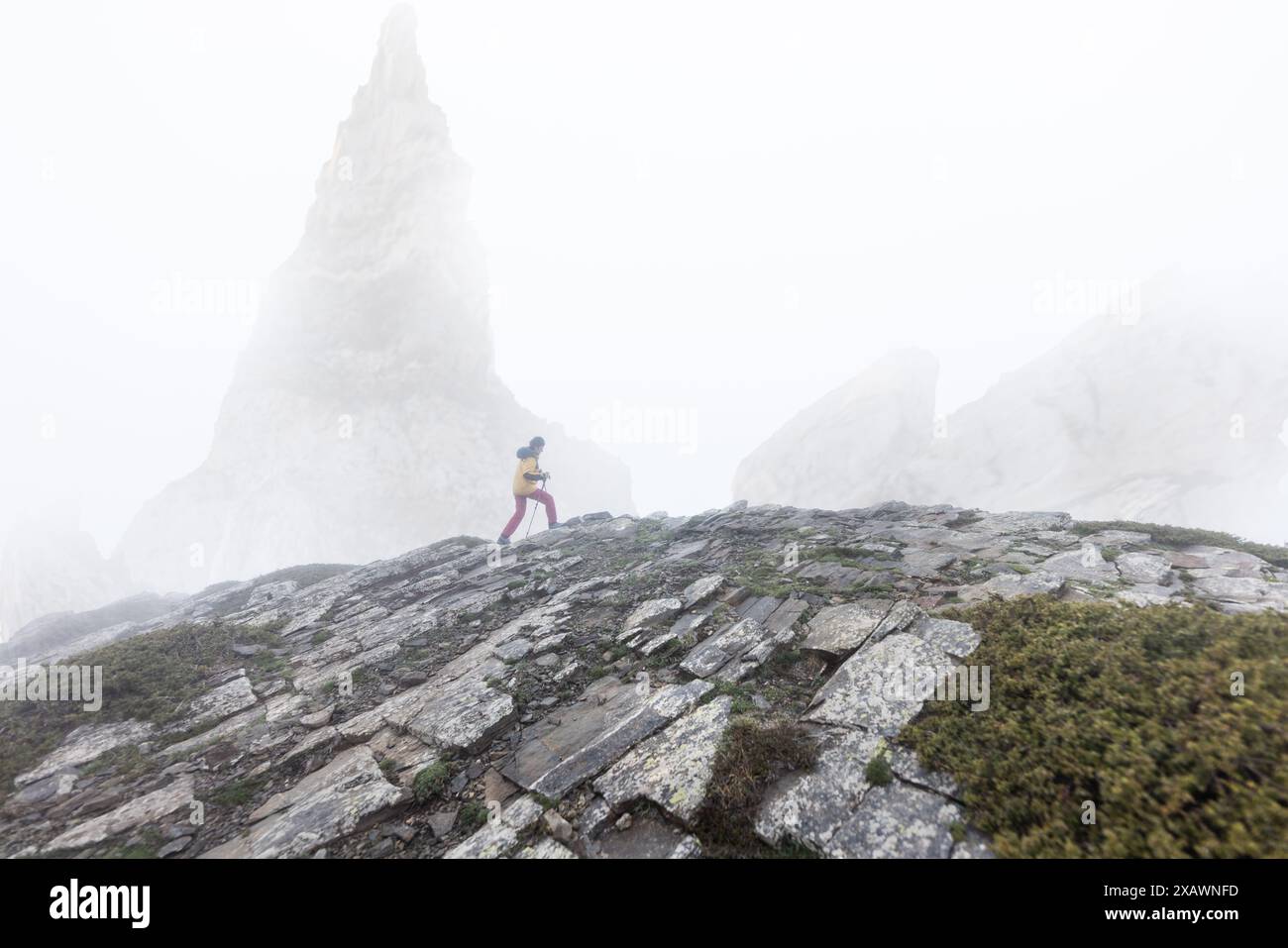 Frau, die im Nebel auf den Berg geht, mit rosa und gelben Kleidern, Wanderstöcken, Felsen und grünen Pflanzen. Bergexpedition bei schlechtem Wetter Stockfoto