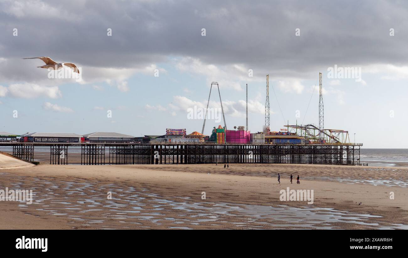 Die Möwe schwingt über Touristen an einem Sandstrand am Amusement Park Pier in der Stadt Blackpool, Lancashire, England. Juni 2024 Stockfoto