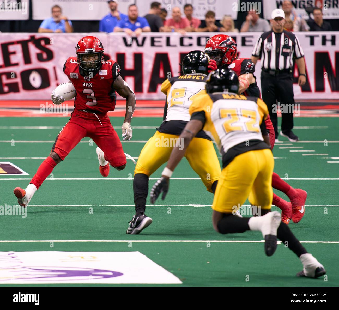 Jacksonville, Florida, USA. Juni 2024. Indoor Football League, Jacksonville Sharks gegen Tulsa Oilers. Sharks RB Tyler King (3) berechnet seinen nächsten Zug gegen die Möchtegern-Oilers-Tackler Tre Harvey (24) und Kaytron Allen (22). Foto: Tim Davis/Alamy Live News Stockfoto