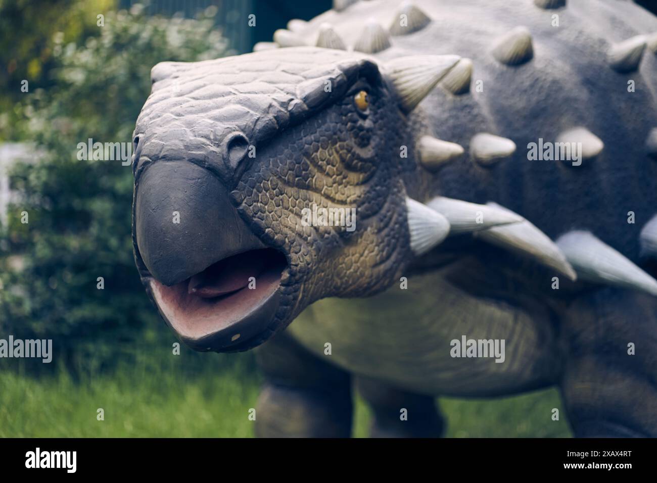 Ankylosaurus ist eine pflanzenfressende Gattung von gepanzerten Dinosauriern, ein Dinosaurier aus dem Ende der Kreidezeit. Nahaufnahme mit Kopierraum. Hochwertige Fotos Stockfoto