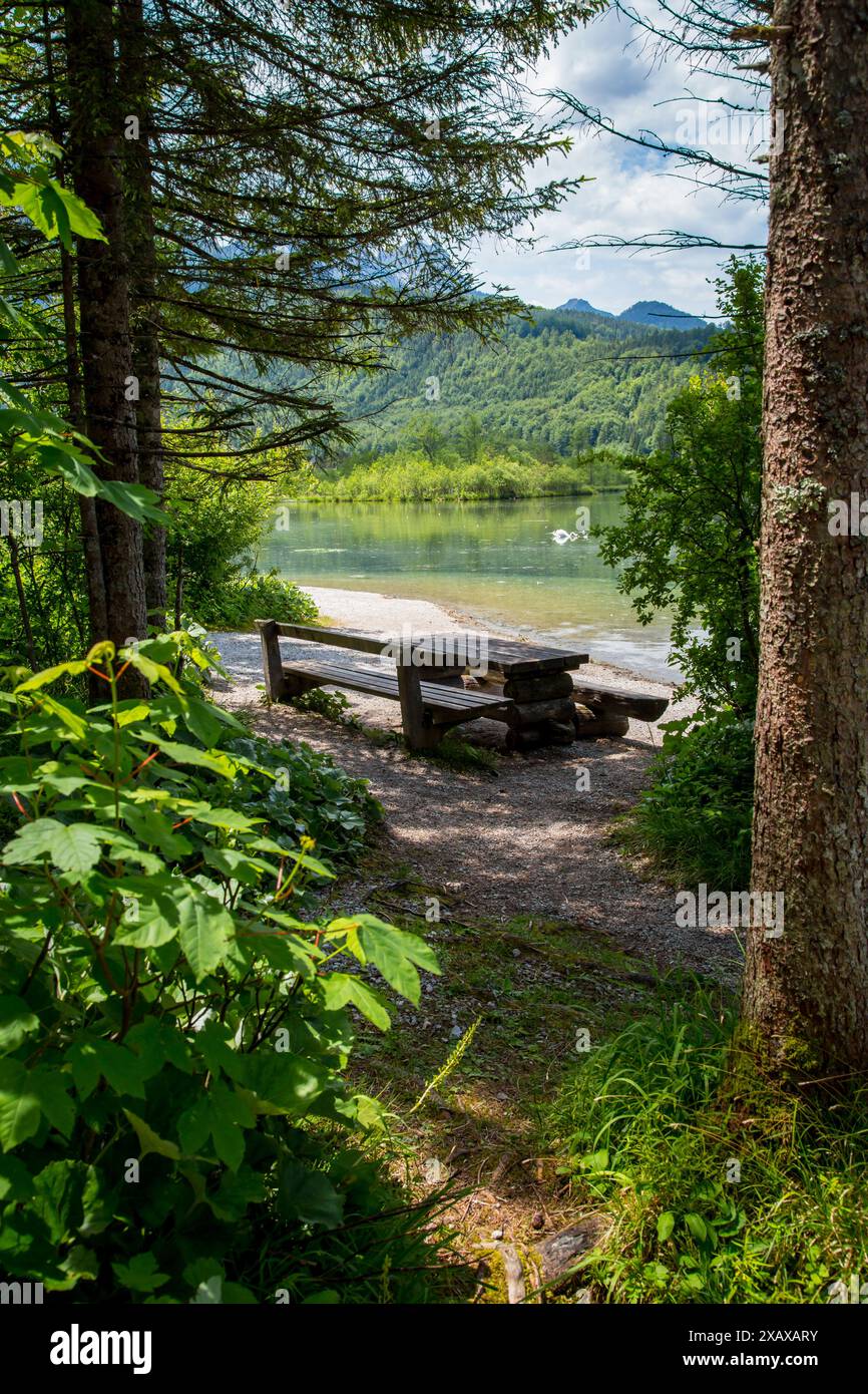 Picknickplatz am Almsee, Salzkammergut, Österreich Stockfoto