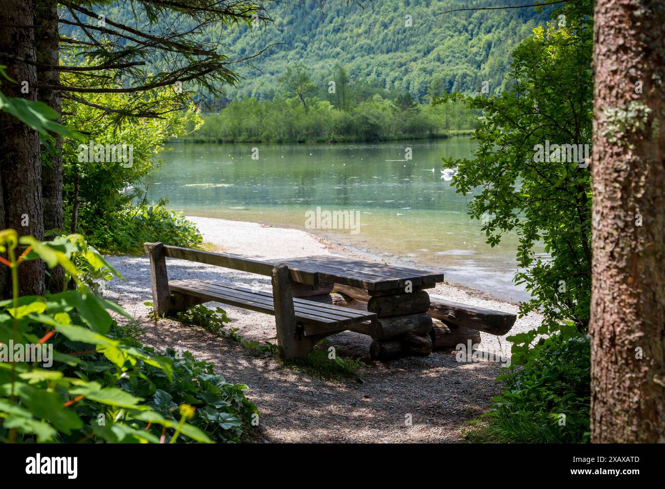 Picknickplatz am Almsee, Salzkammergut, Österreich Stockfoto