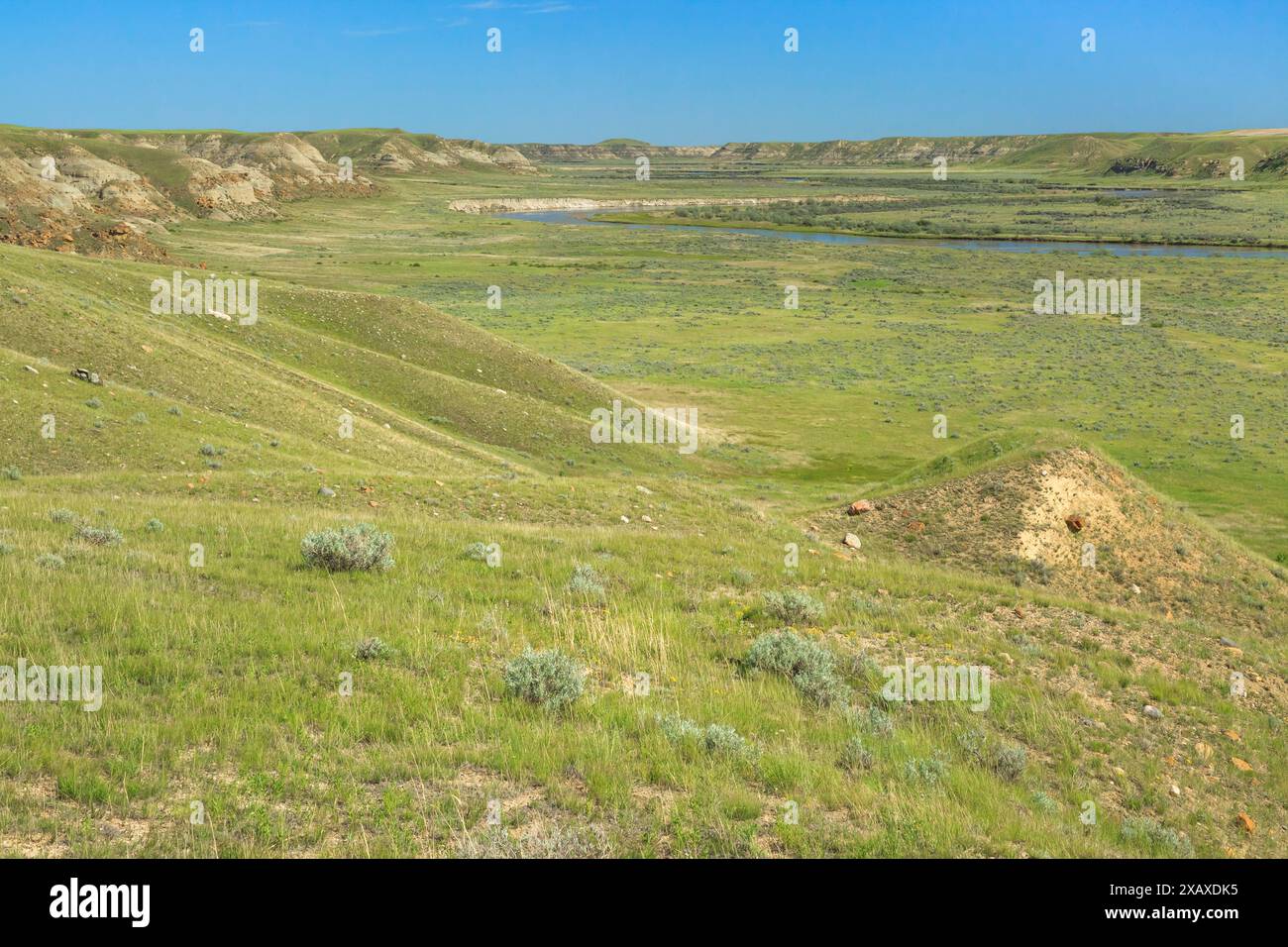 Das Milchtal aus dem Wildlife Management Area nordwestlich von havre, montana Stockfoto