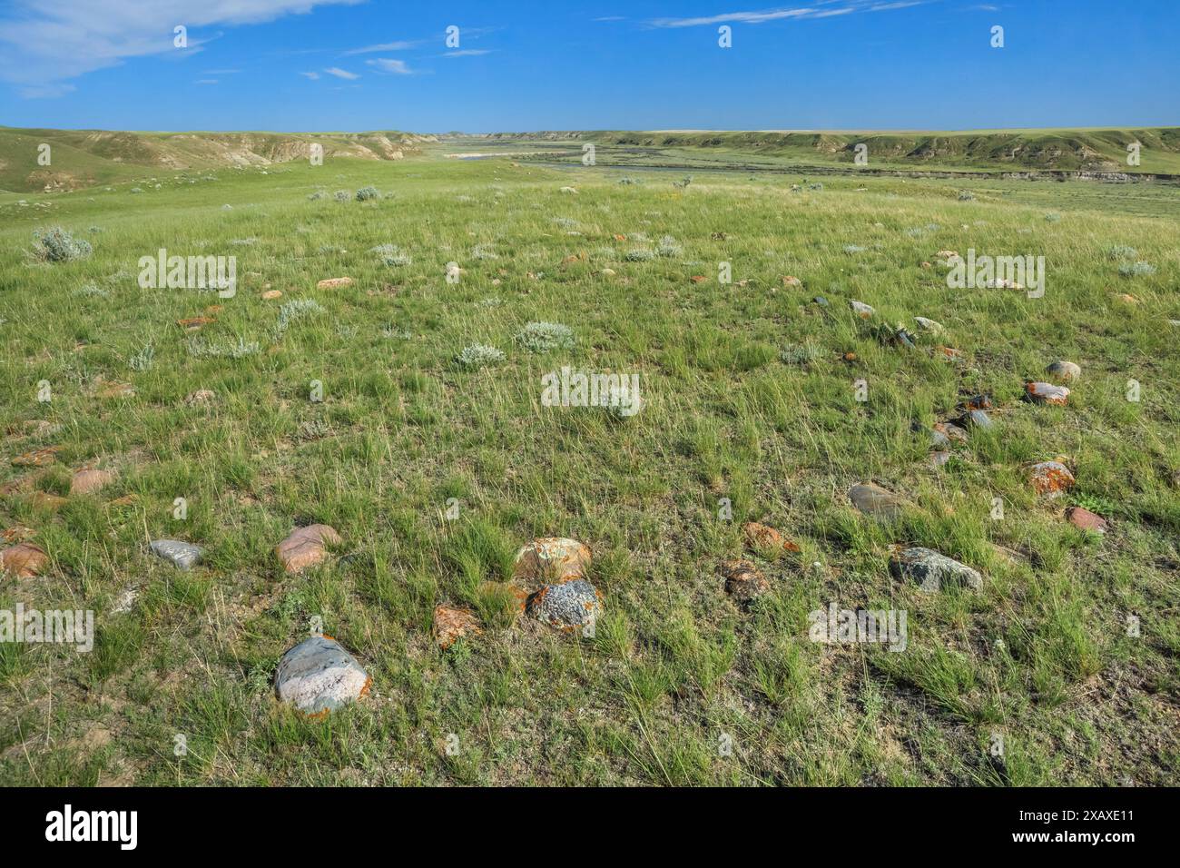 der tipi Ring und das Milchtal aus dem Lost River Wildlife Management Area nordwestlich von havre, montana Stockfoto