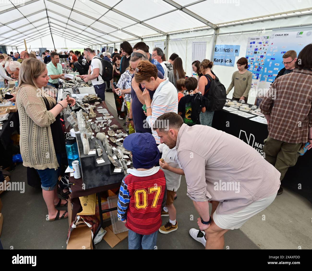 Paläoart Workshops Fossil Festival Stockfoto