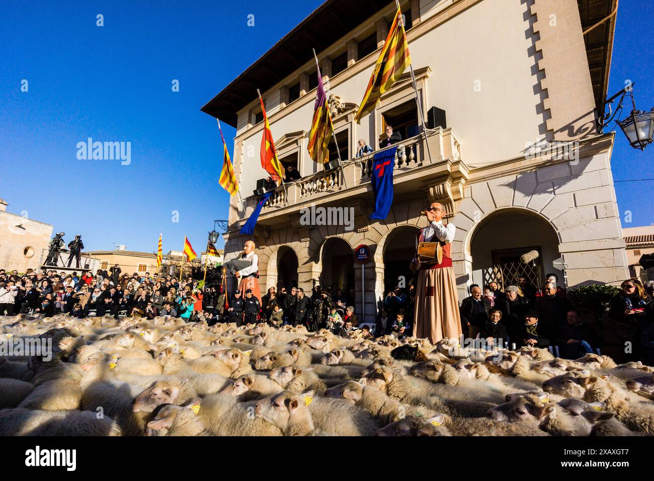 Segen der Tiere am Tag des Heiligen Antonius, „Beneides de Sant Antoni“, Muro, Mallorca, Balearen, Spanien Stockfoto