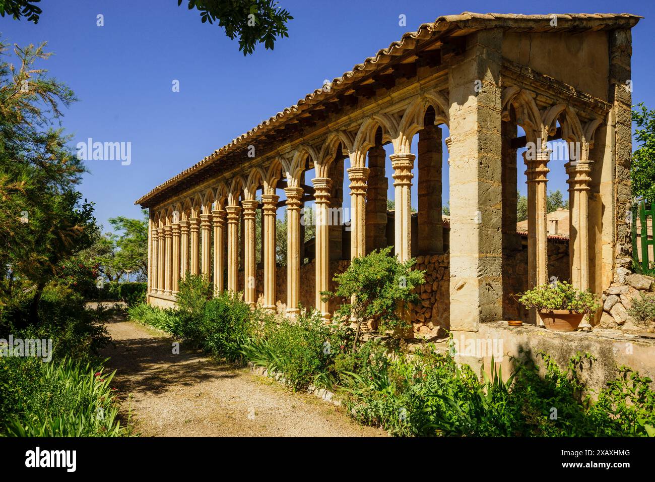 Kloster Miramar, gotische Bögen aus dem 13. Jahrhundert des ehemaligen Klosters Santa Margalida in Palma, Valldemossa, Sierra de Tramuntana, Mallorca, Spanien. Stockfoto