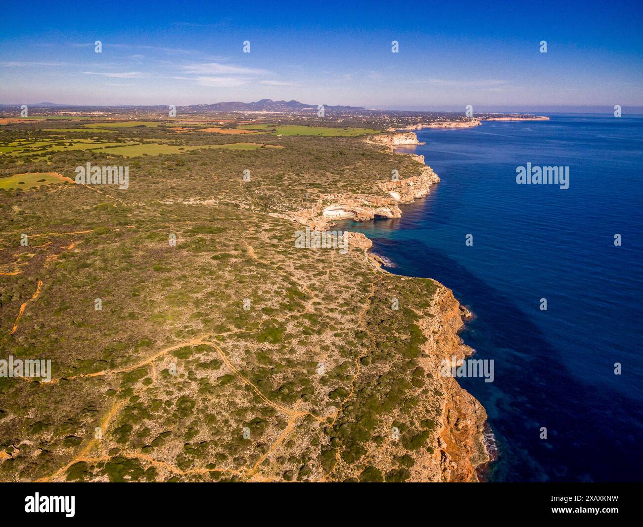 Natürliche Bereich von besonderem Interesse (ANEI) zwischen dem Deckel Salines und Cala Marmols, Santanyi, Mallorca, Balearen, Spanien, Europa Stockfoto