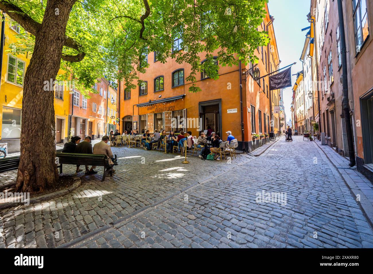 Brända Tomten ist ein idyllischer Platz in Gamla stan. Der dreistöckige Platz wurde nach dem großen Brand 1740 als Drehfläche für Pferdewagen angelegt. Unter dem großen Kastanienbaum befinden sich Bänke. Der Schriftsteller August Strindberg soll hier oft gesessen haben. Restaurant 'Under the Chestnut'. Brända Tomten, Stockholm, Schweden Stockfoto